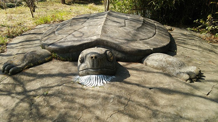 占い師奈良橋カイネのお気に入り写真1